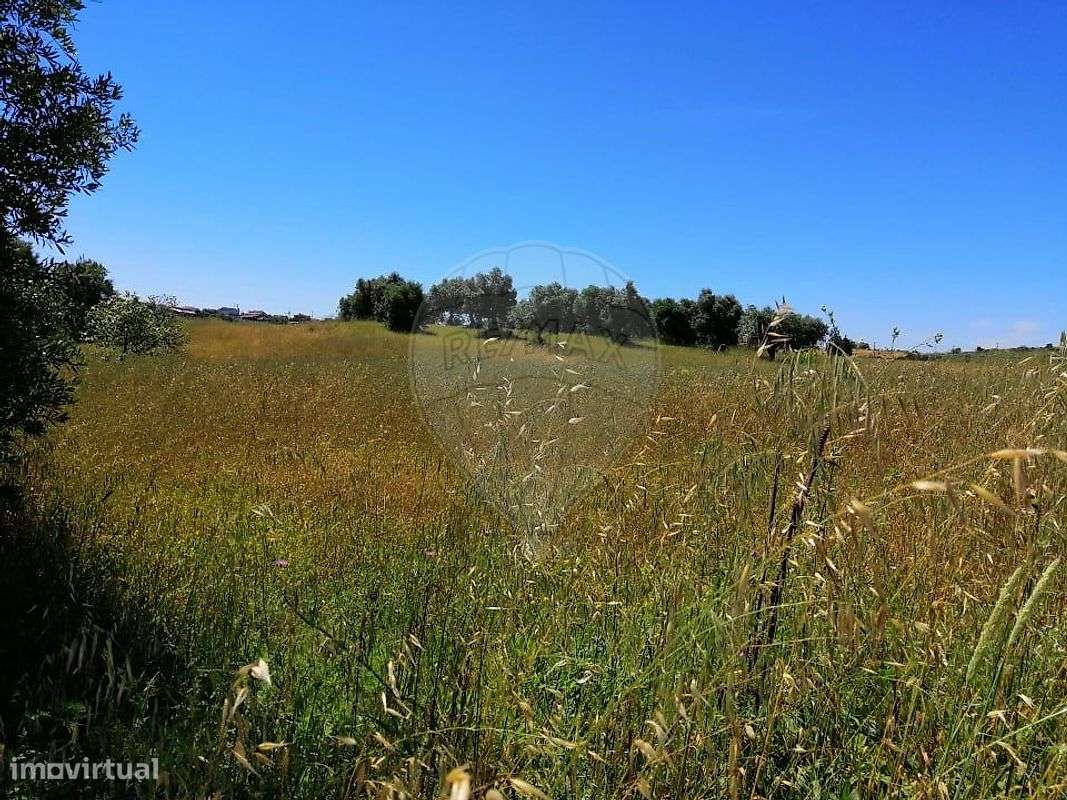 Terreno  para venda - Grande imagem: 5/15