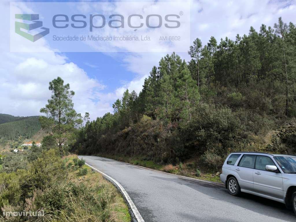 Terrenos a confinar com ribeira - Pomar-7