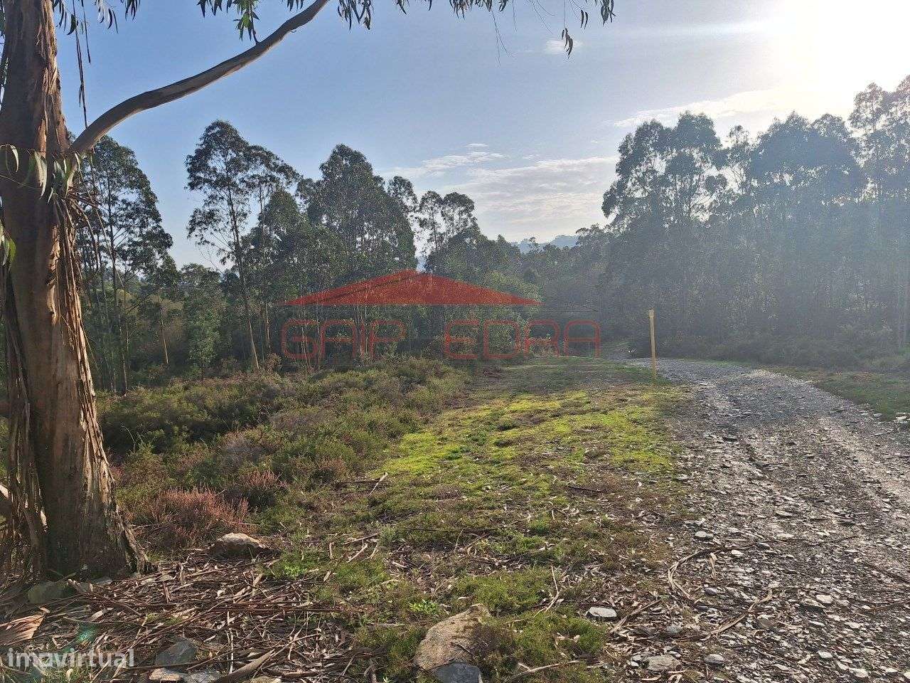 Terreno com 5 700 m2 na Quinta da Lousa em Valongo - Grande imagem: 4/9