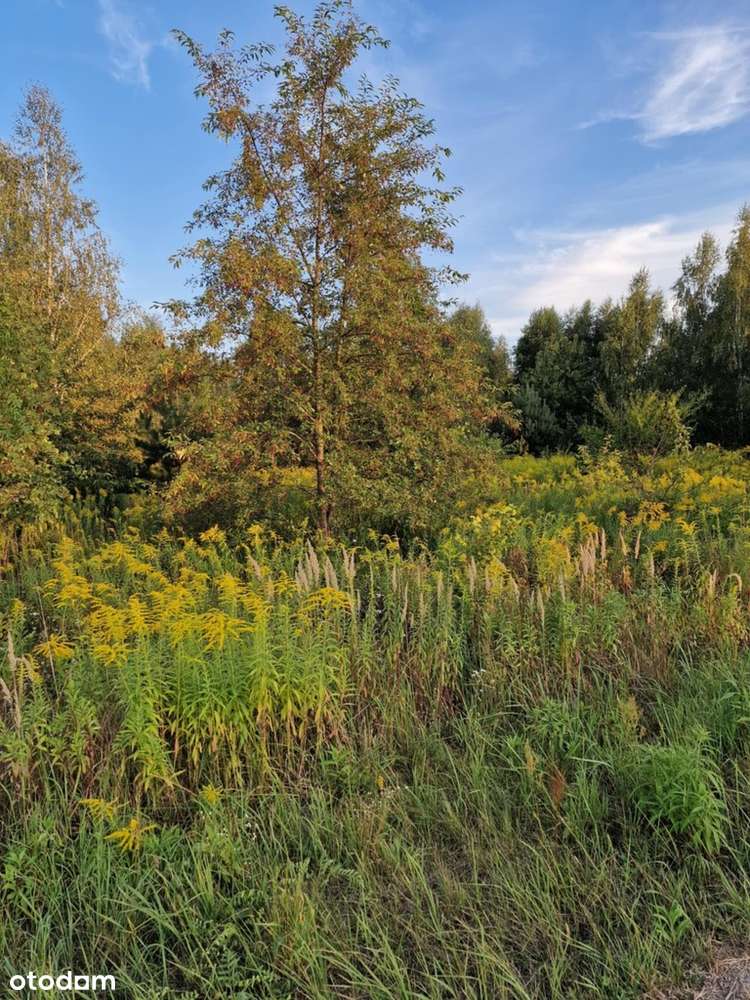 Działka w Stefanówce gm.Tarczyn-0