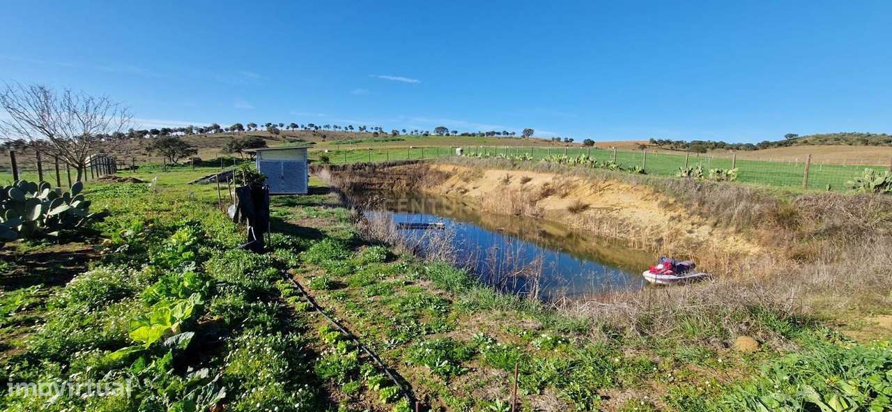 Herdade de 62 Hectares no Coração do Alentejo – Évora  - Agricultura --28