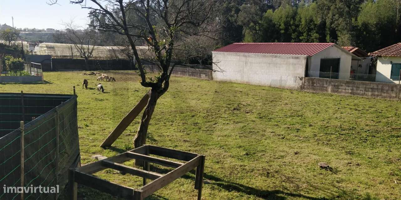 Terreno urbano -São Vicente Pereira - Grande imagem: 4/7