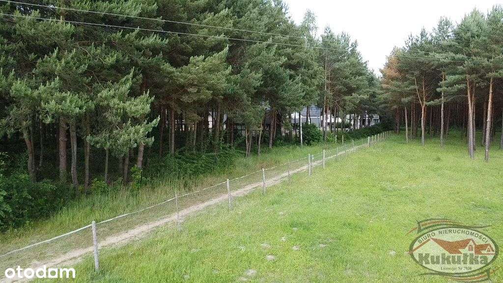 Malownicze Działki W Dankowie - Pełny obrazek: 5/9