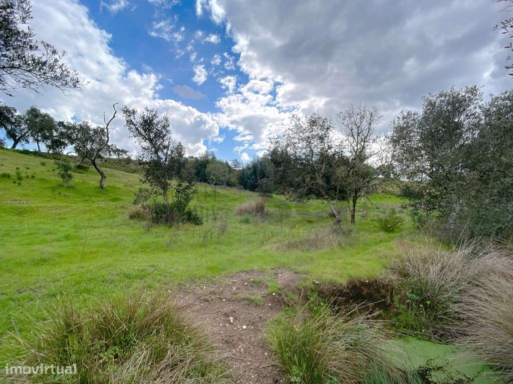 Quinta no Alentejo com duas habitações - Grande imagem: 5/60