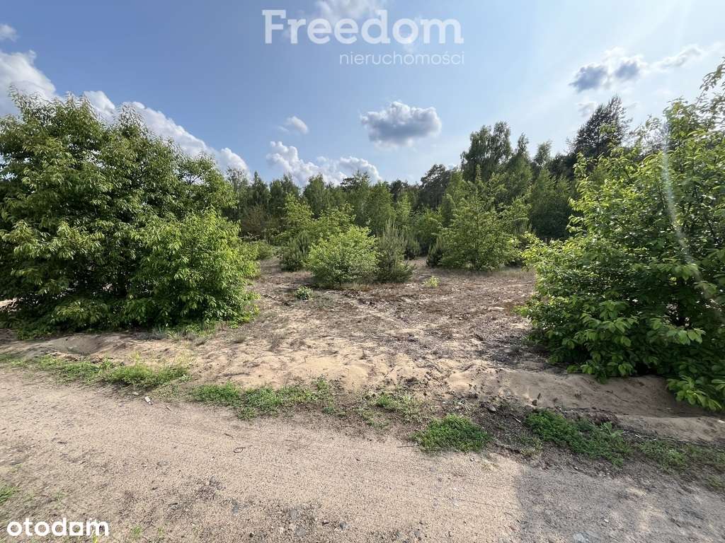 Działka w sąsiedztwie lasu Górsk/Czarne Błoto - Pełny obrazek: 4/6