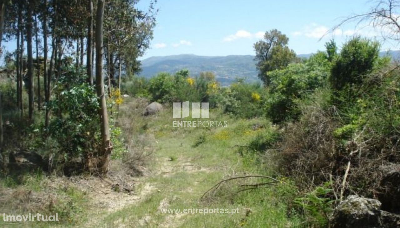 Venda Terreno, junto à estrada, Santa Cruz do Douro, Baião