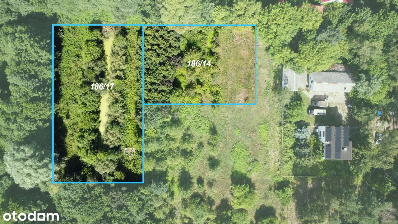 Piękna działka z Warunkami Zabudowy! Pędzewo (p. toruński) - Pełny obrazek: 5/9