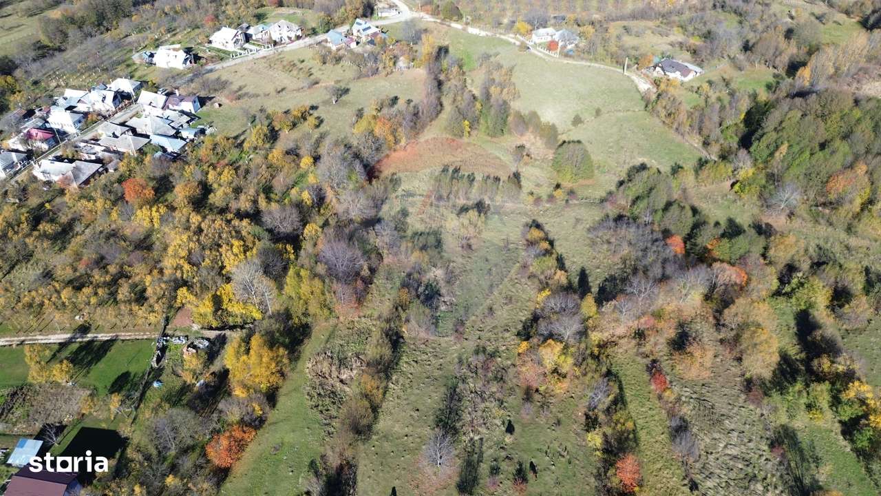Teren si casa de vânzare la baza muntelui Iezer in Valea Mare Pravat-13