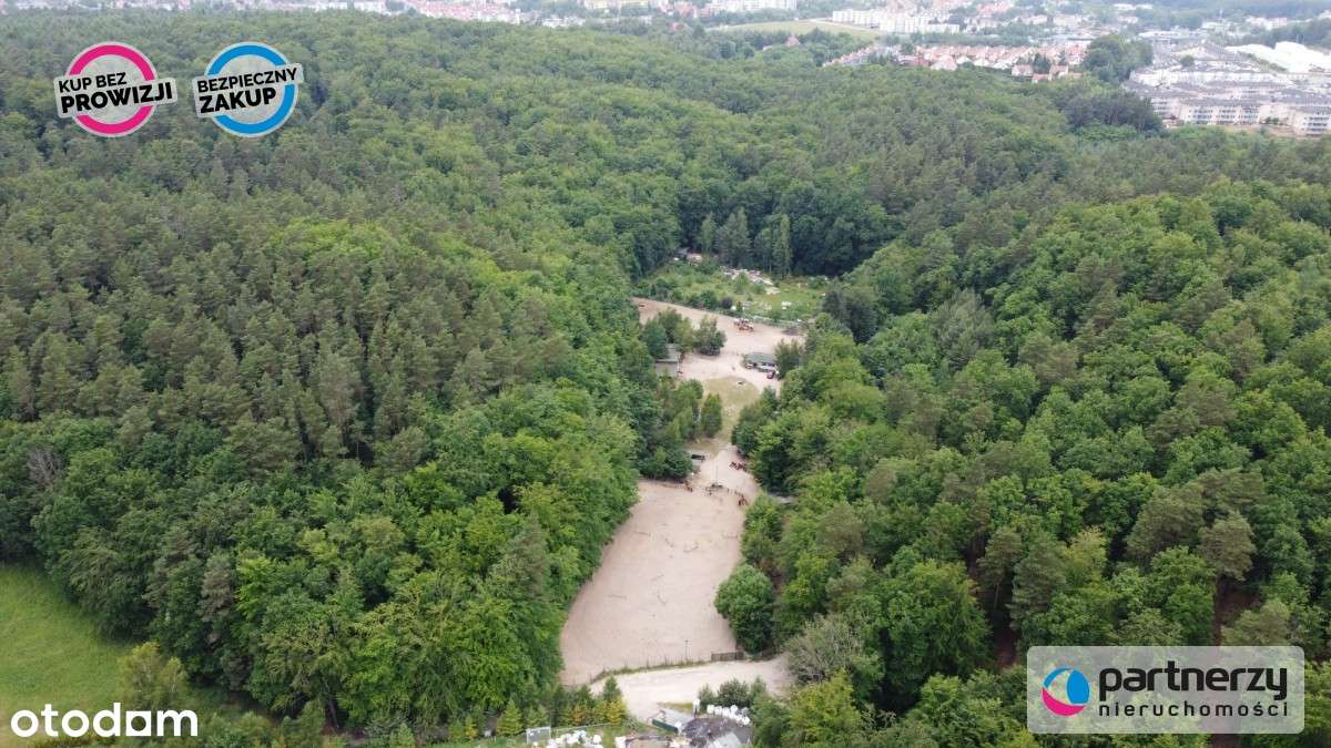 Wyjątkowy teren otoczony lasem Polana Bernadowo - Pełny obrazek: 2/8