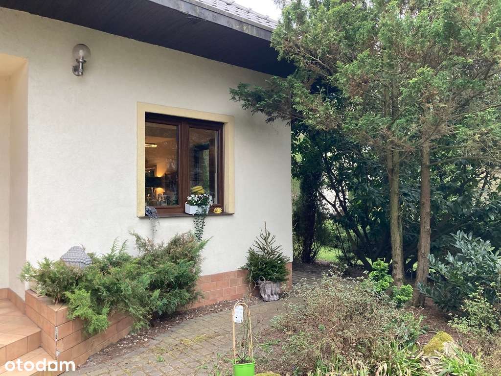 dom pod lasem, dodatkowa sypialnia na parterze-19