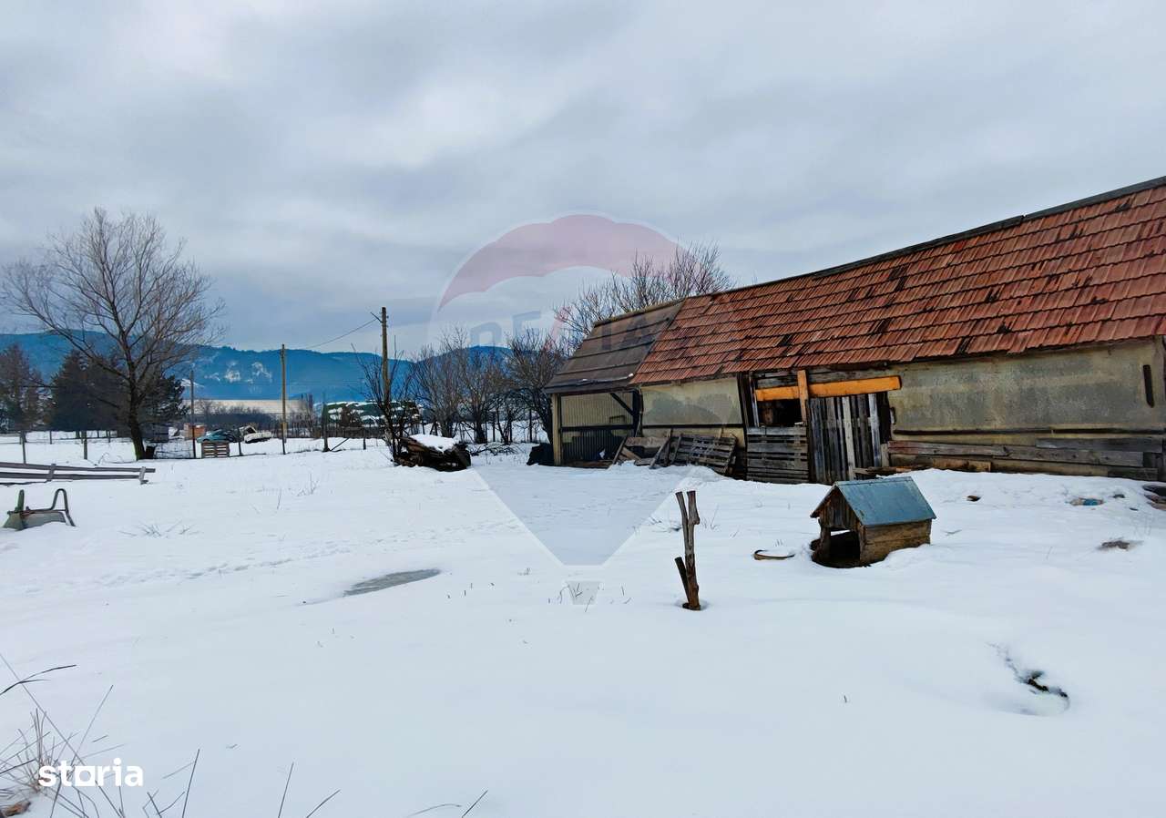 Teren intravilan 9.574 mp în Săliște, poziție strategică, ideal invest-10