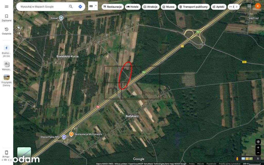 Działka, 20 159 m², Białebłoto-Kurza - Pełny obrazek: 4/6