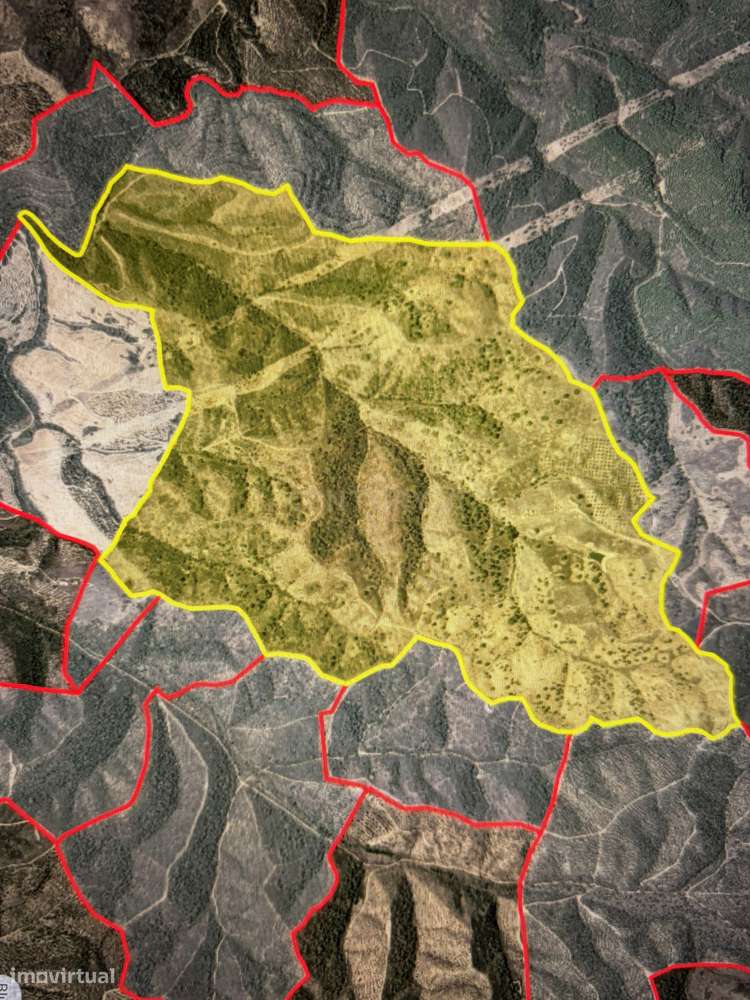 Monte Alentejano com 229 Hectares em Odemira - Grande imagem: 2/2