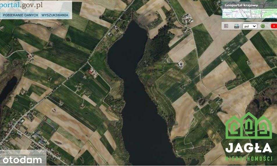 Zbójno 3209m2 linia brzegowa czyste jezioro Wz - Pełny obrazek: 4/6