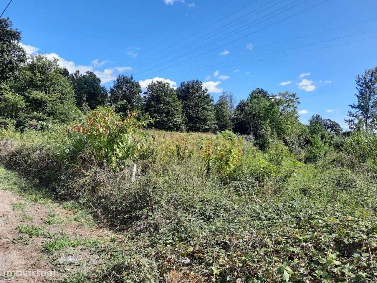 Terreno com 1.600 m2 em Arões São Romão - Grande imagem: 4/10