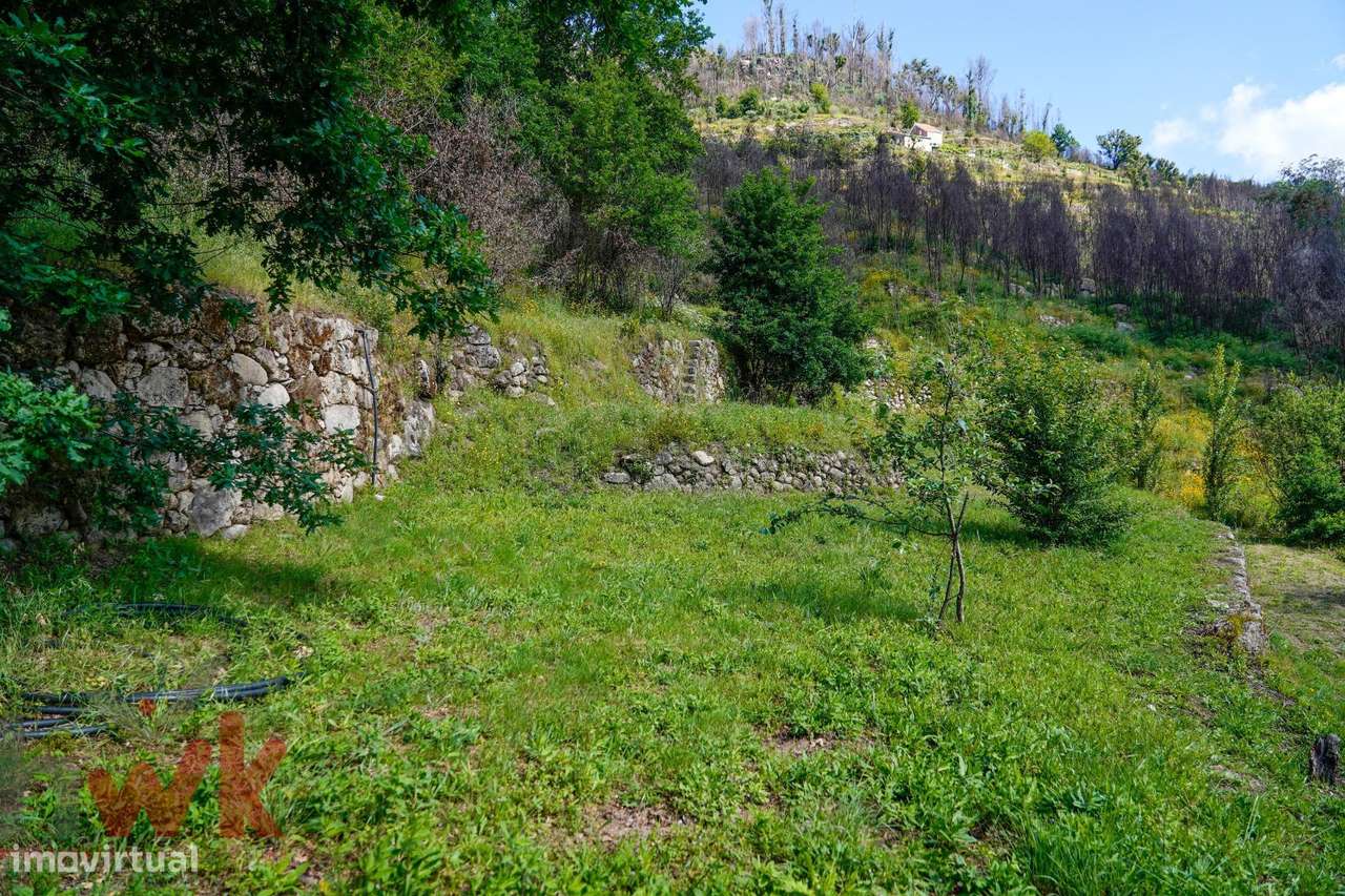 Charmosa Quinta em Pedra | Avô, Centro de Portugal-57