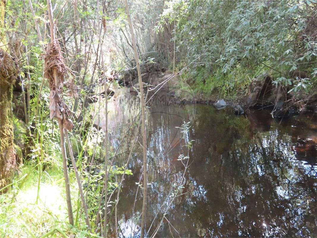 Quinta  para venda - Grande imagem: 4/25