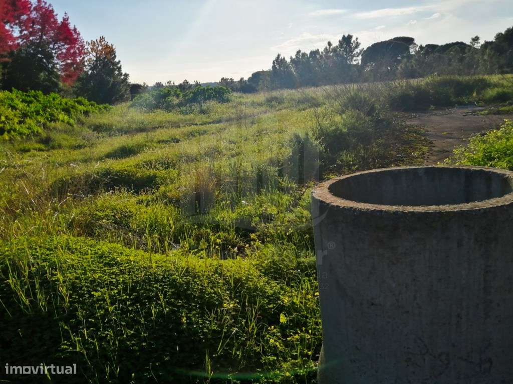 TERRENO ZONA INDUSTRIAL - Grande imagem: 5/5