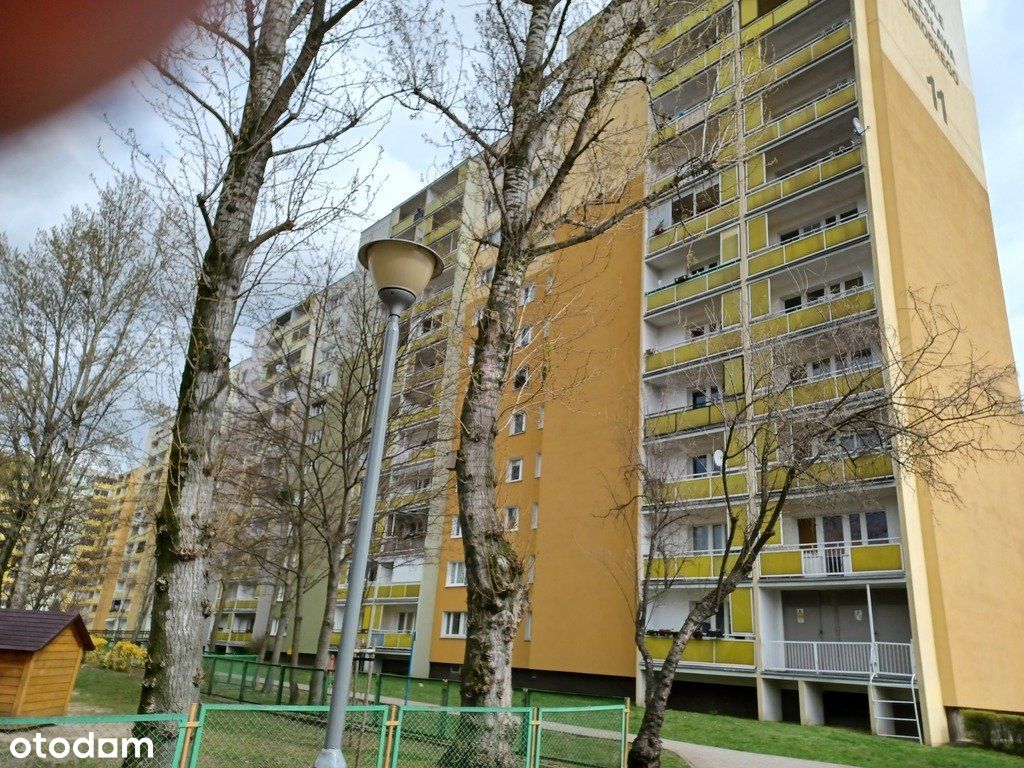Mieszkanie, 49,30 m², Poznań