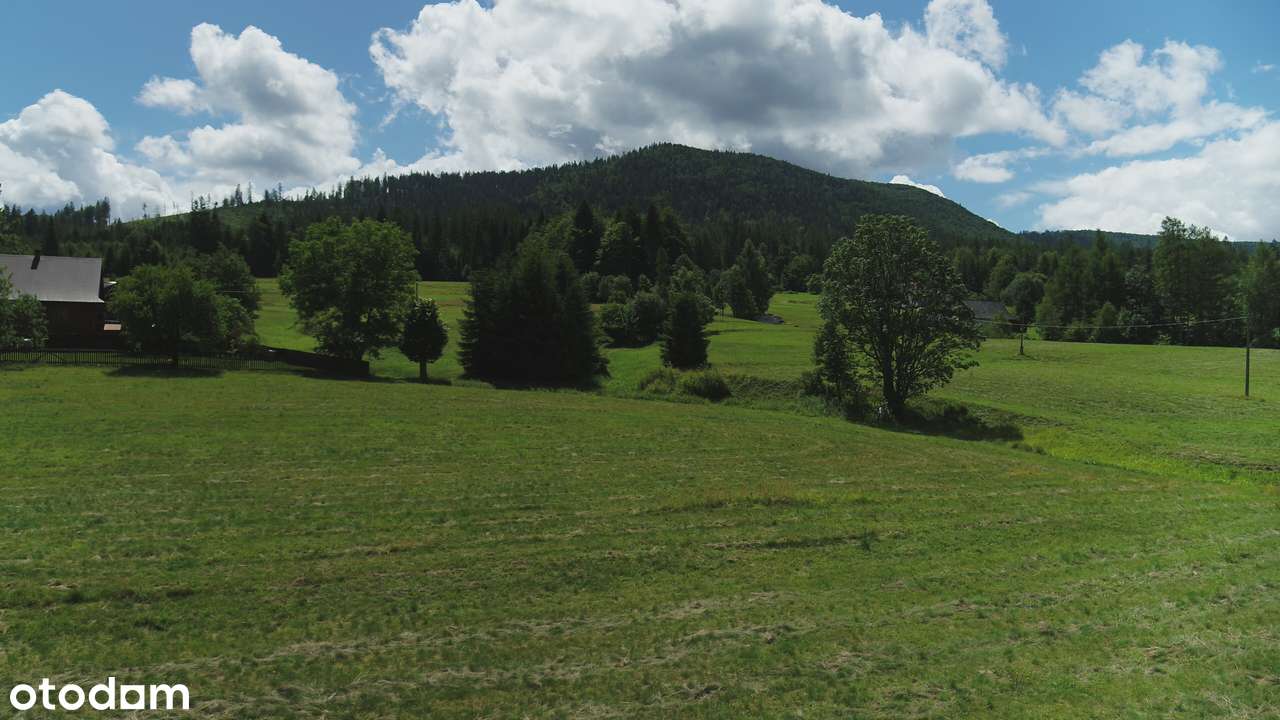 Pięć działek do zabudowy w lesie, 889m2, a może o pow. 5972m2 - Pełny obrazek: 5/10