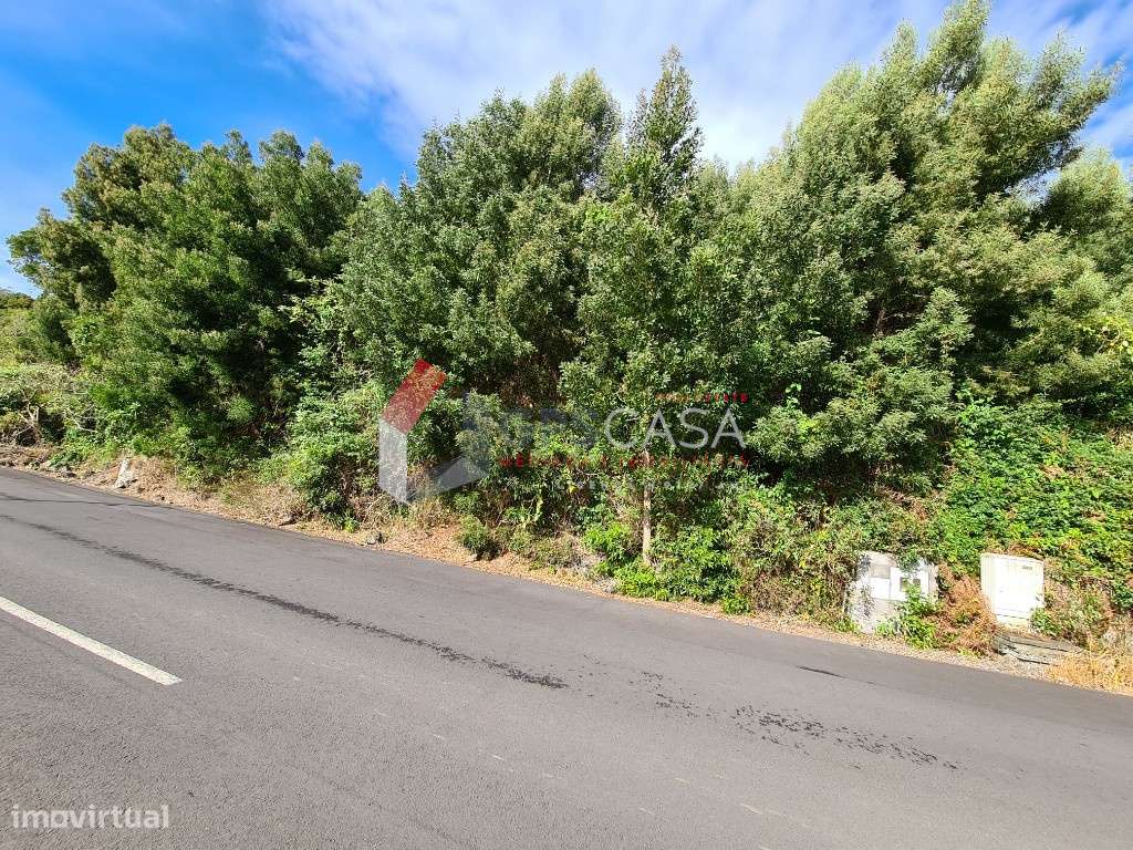 Lote nº3 para construção - Grande imagem: 5/9