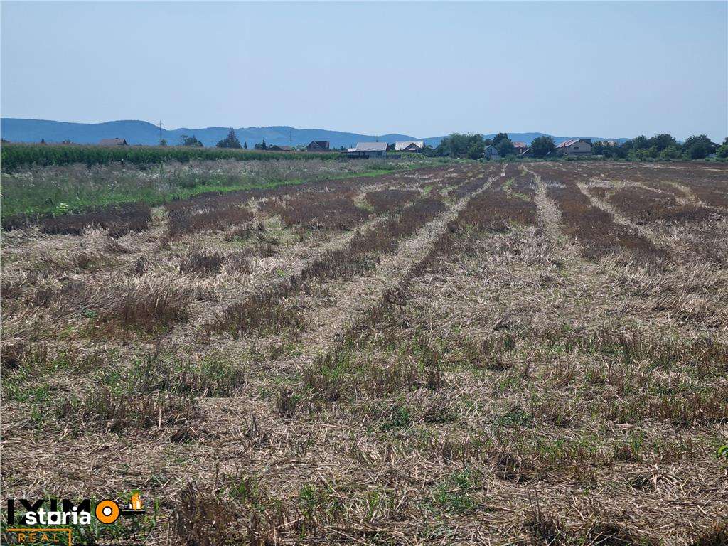 Teren Calea Barladului - Imagine principală: 4/10