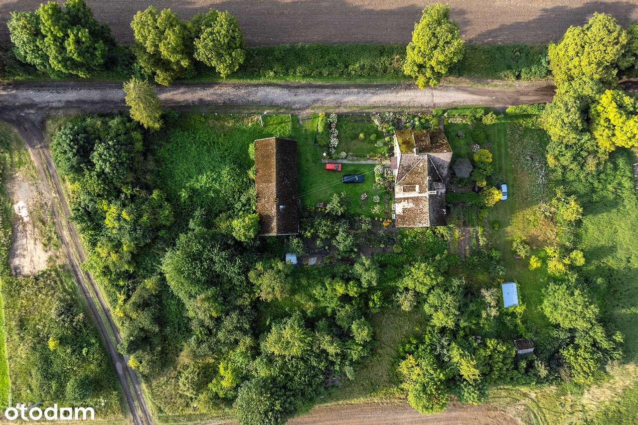 Stara szkoła - dom mieszkalny z działką w oazie spokoju na pensjonat - Pełny obrazek: 5/15