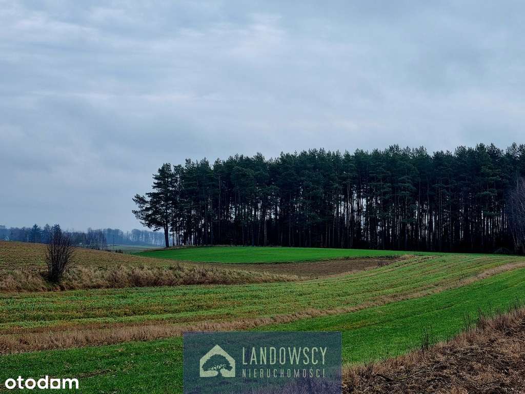 Ziemia rolna dla każdego - Jaroszewy - Pełny obrazek: 5/19