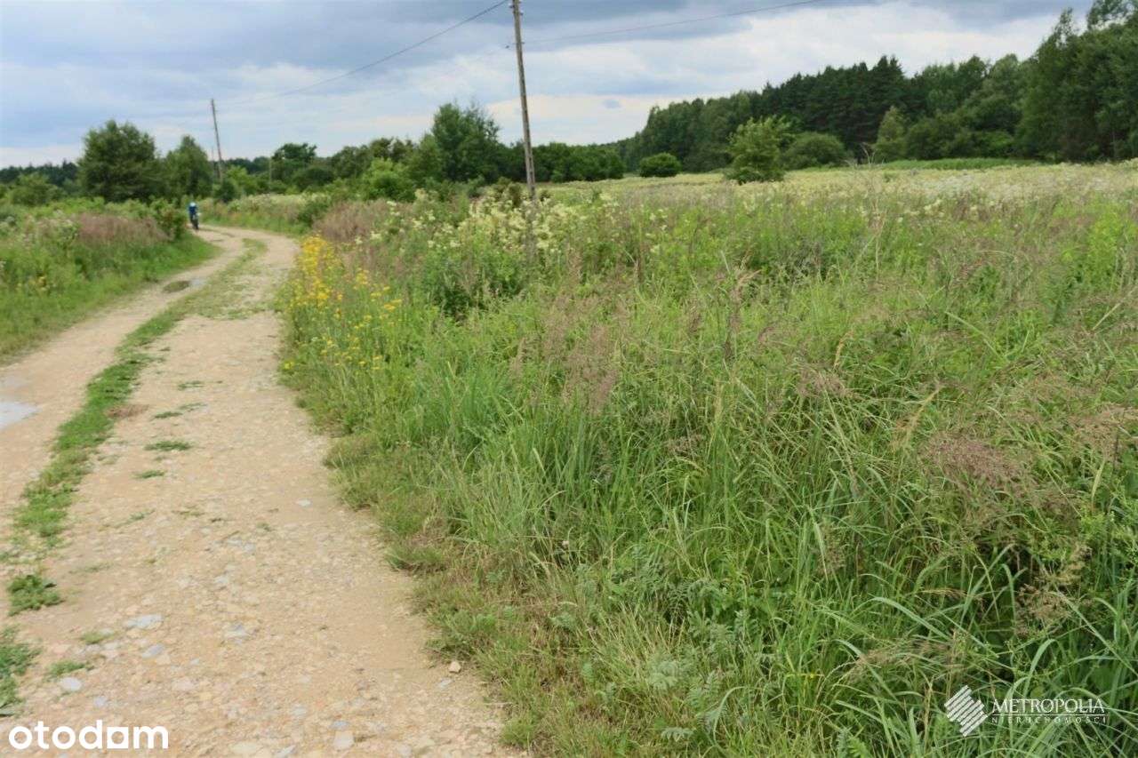 Działka, 2 000 m², Jaworzno - Pełny obrazek: 3/3