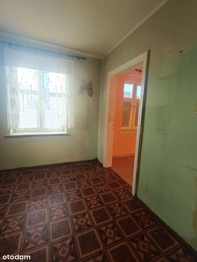 1-pokojowe mieszkanie + piwnica - Pełny obrazek: 5/13