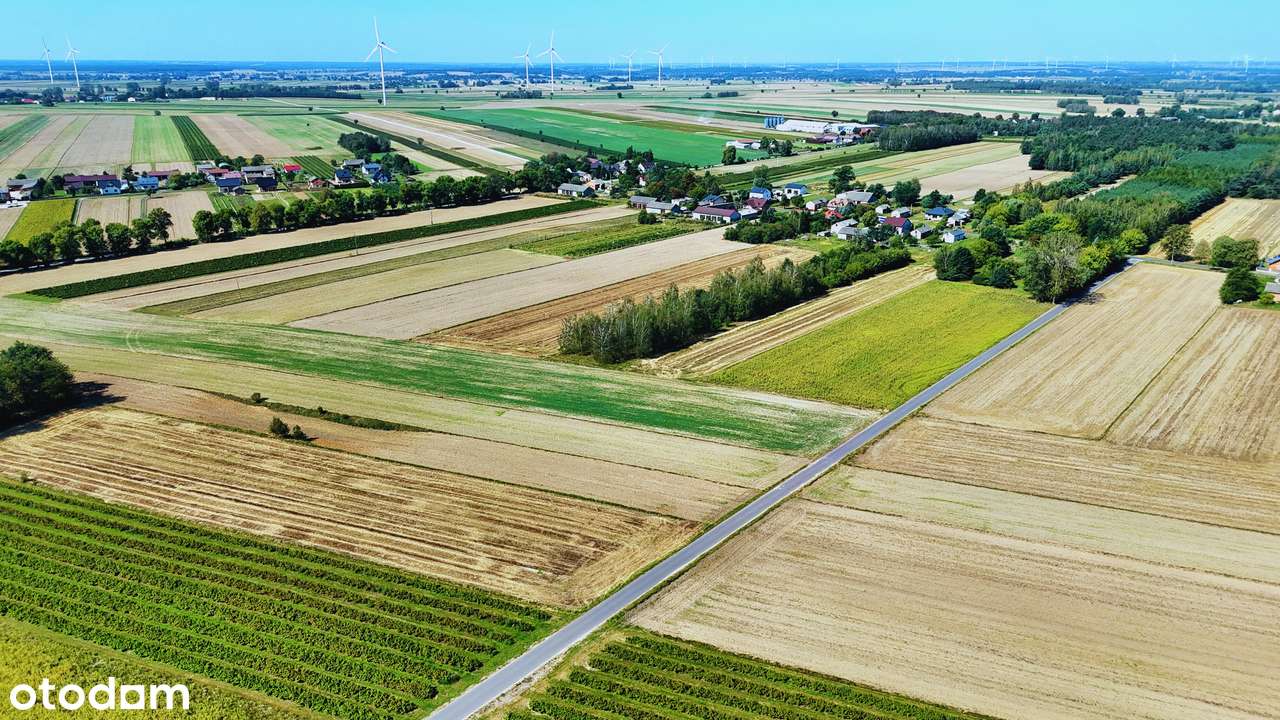 Ostatnia działka w Janolinie | rolna 0,79 ha | MPZP, Asfalt, Wodociąg - Pełny obrazek: 5/10