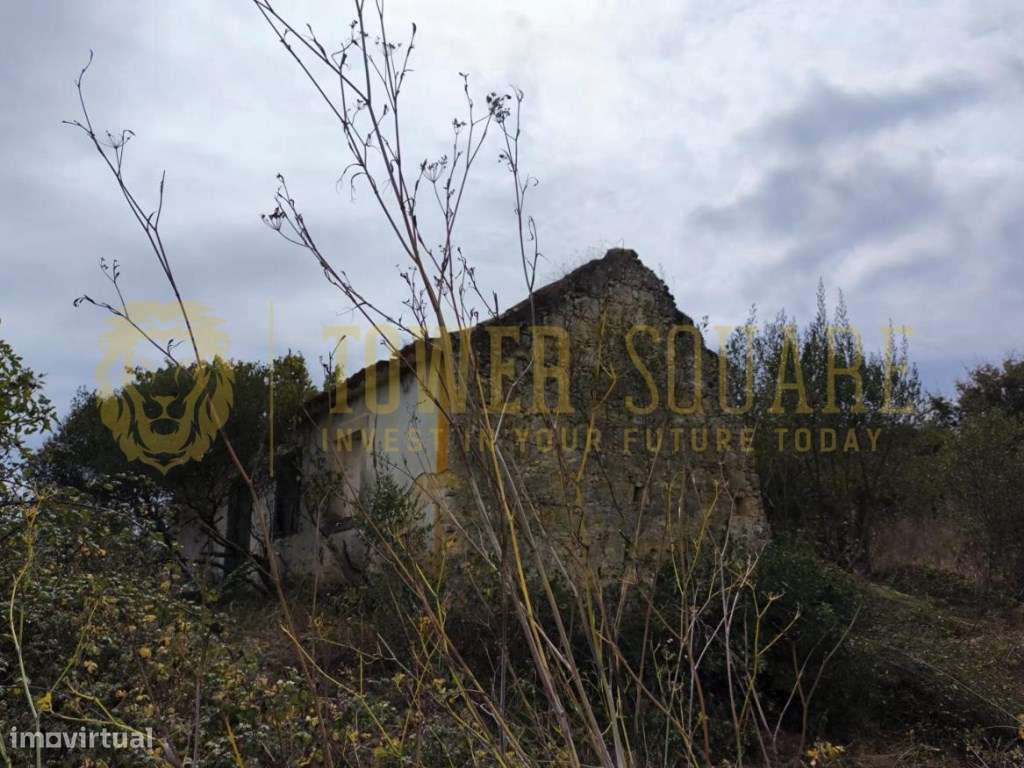 Terreno Misto com 5.040 m² - Casais do Vidigão - Santarém - Grande imagem: 4/4