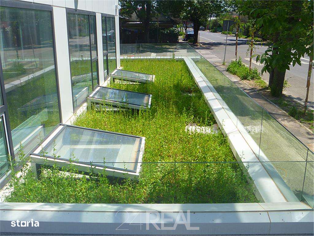 Spatiu de birouri zona Jiului - 200 mp - Imagine principală: 5/11