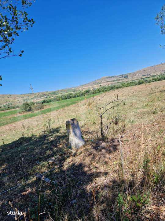 Teren extravilan 5008 mp, in Iara - Imagine principală: 2/3