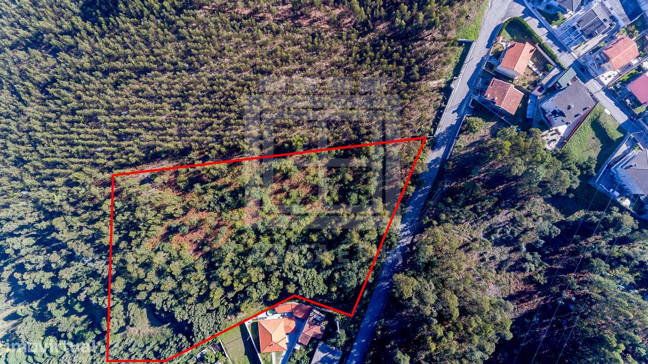 Terreno com 11.981 m2 em Caldas de São Jorge - Exclusivo - Grande imagem: 5/8