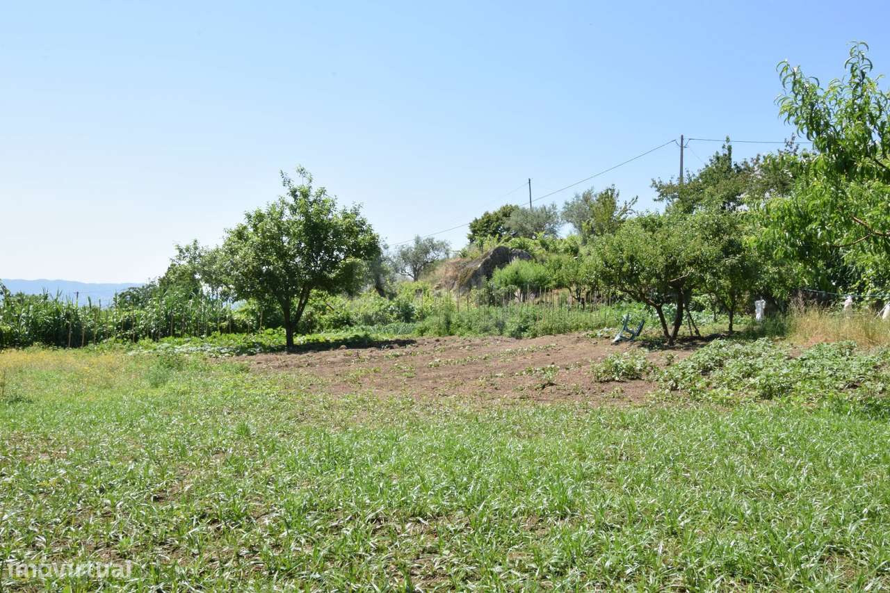 Terreno com 4.522 m² e Viabilidade de Construção - Vila do Carvalho-36
