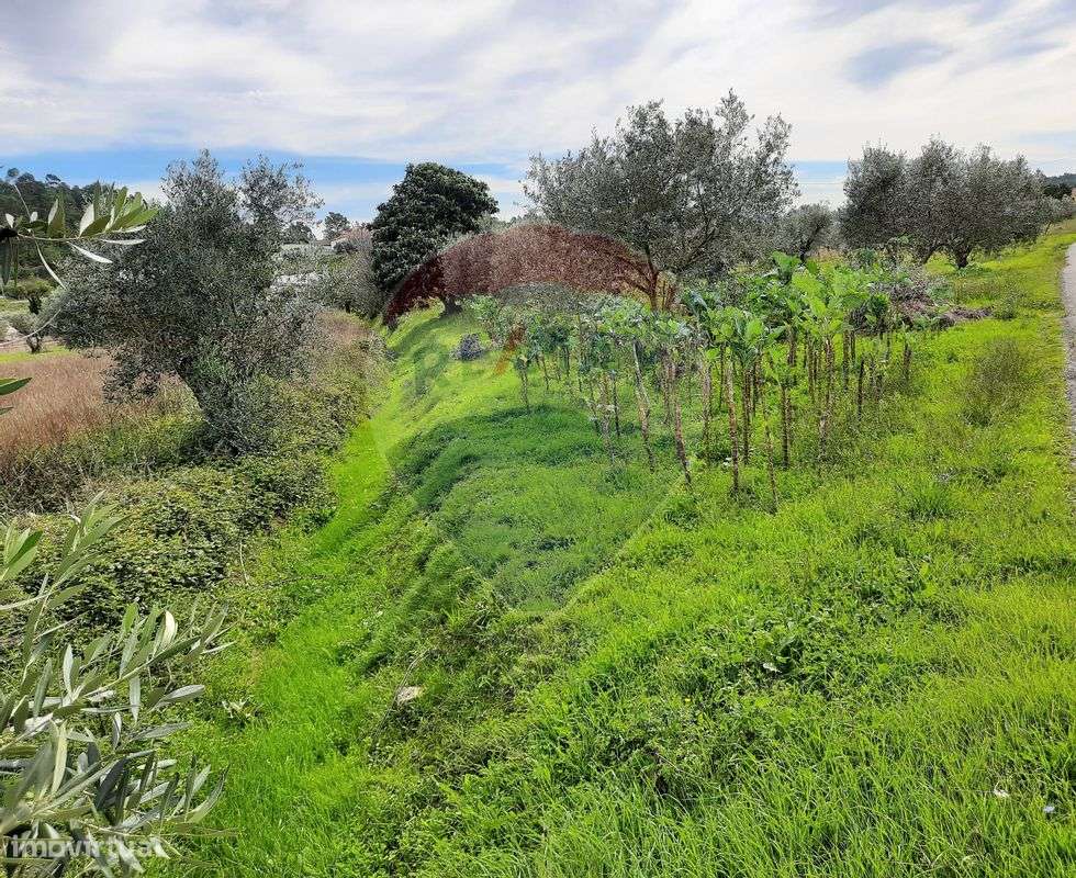 Terreno  para venda - Grande imagem: 2/10