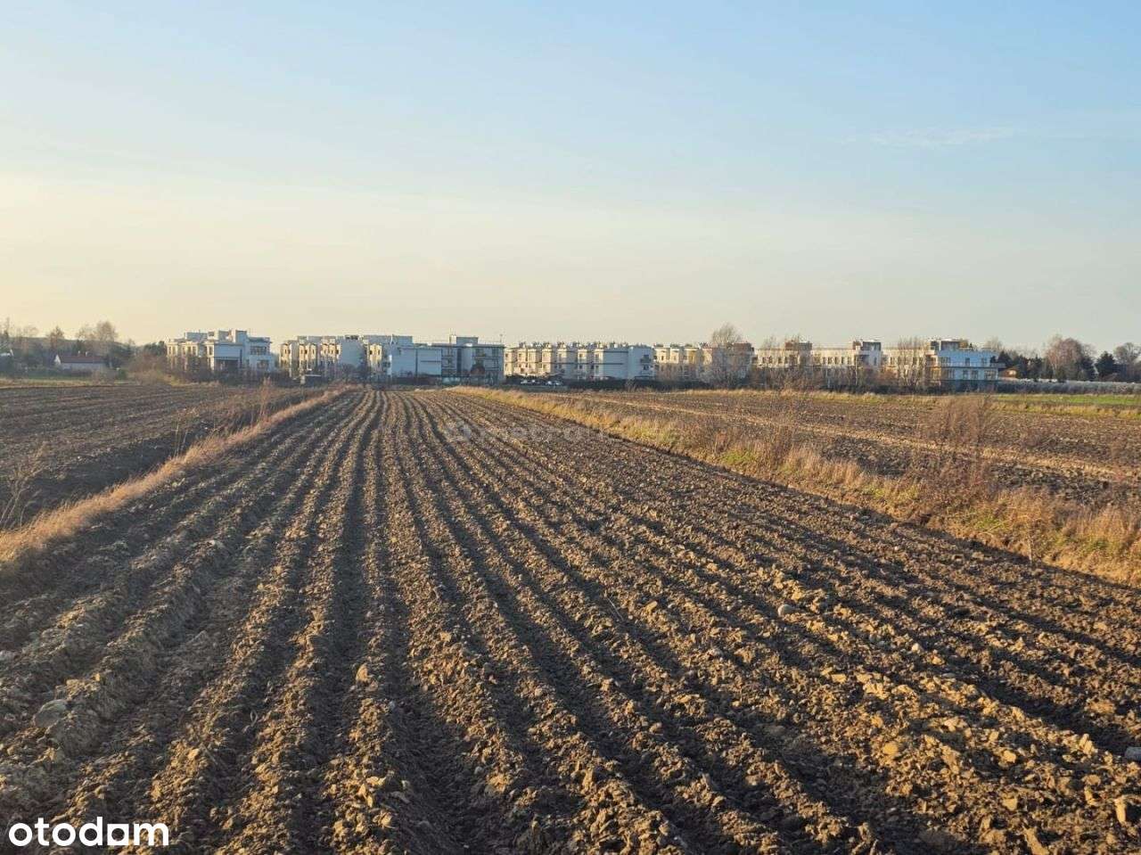 Grunt inwestycyjny 5,2 ha – media, droga, potencjał w gm. Lesznowola. - Pełny obrazek: 4/10