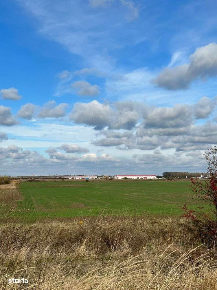 Teren industrial 40.000 mp – Sanandrei, Timiș, cu acces la DN69 și  A1-3