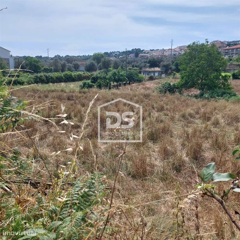 Lote de Terreno  Venda em Juncais, Vila Ruiva e Vila Soeiro do Chão,Fo-23