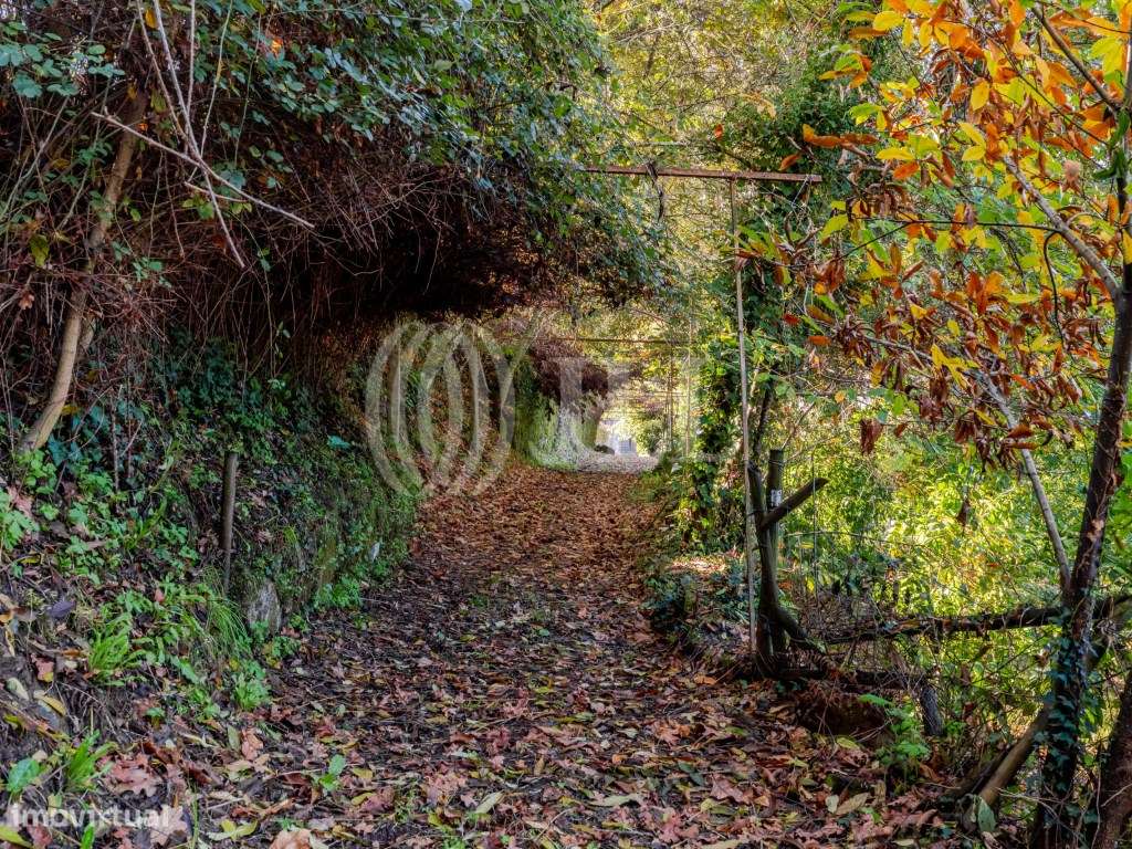Quinta T4+6 com vista para o Rio Douro, em Baião, Porto-56