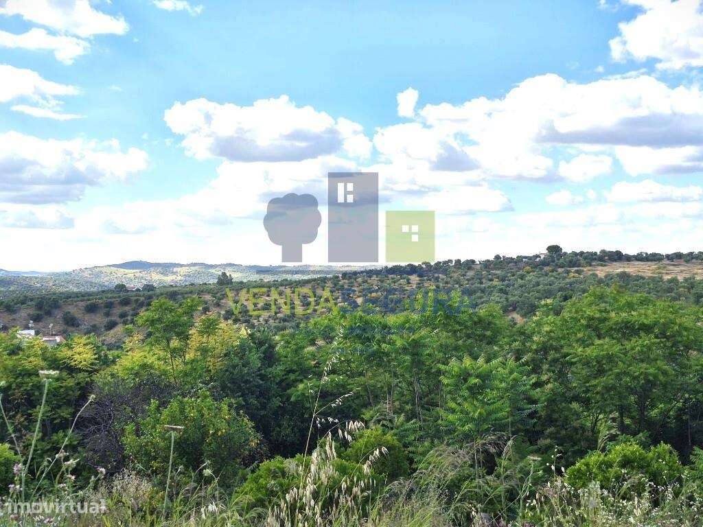 Prédio  Misto, com 0,7250 Ha | MOURA-23