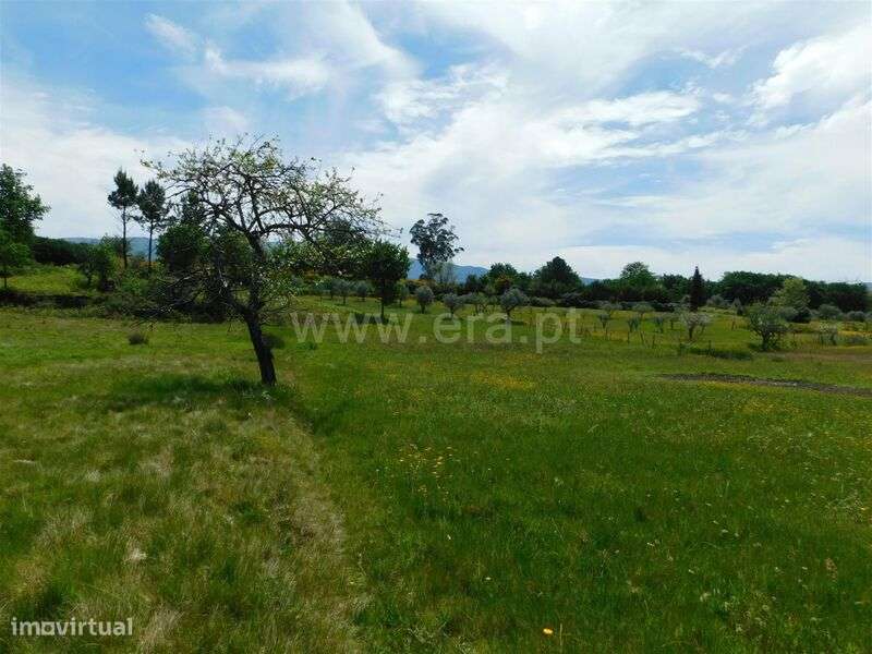 Terreno / Seia, Sameice e Santa Eulália - Grande imagem: 5/15