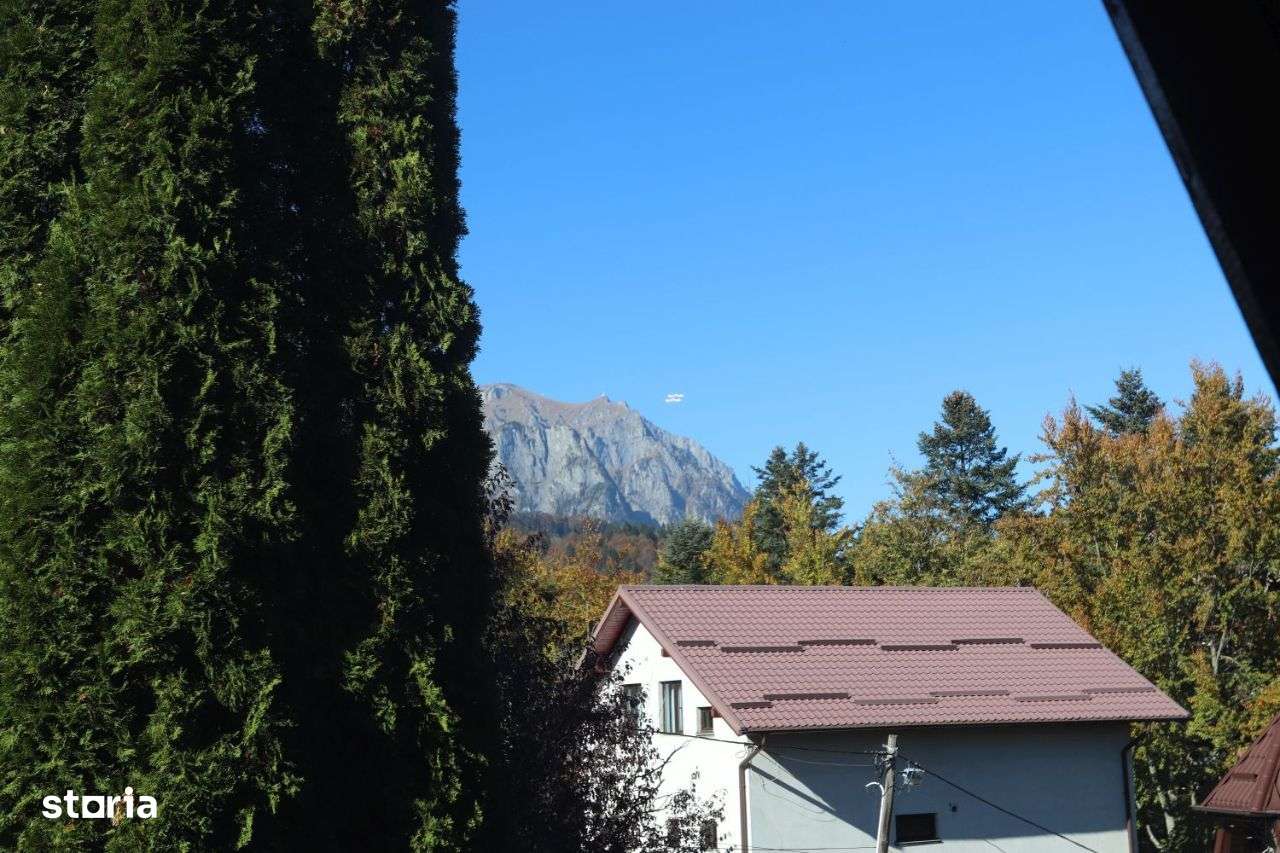 Vila Sinaia - Imagine principală: 3/9