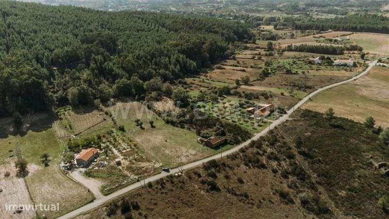 Terreno / Fundão, Enxames - Grande imagem: 1/20