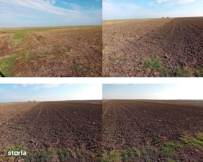 cota de 3/8 din teren extravilan, Sacosu Turcesc, Jud Timis-3