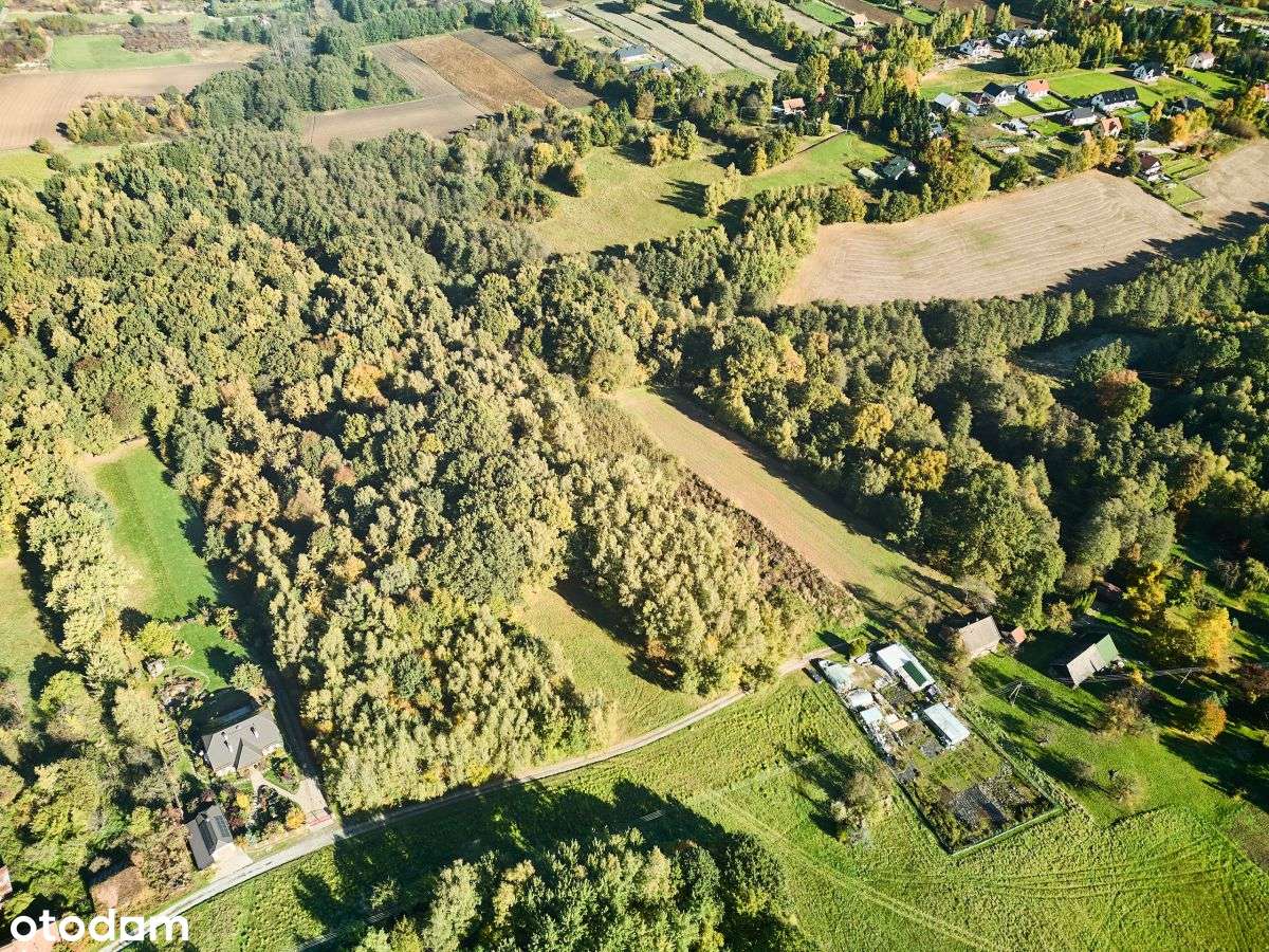 Działka rekreacyjna w cichej okolicy-10