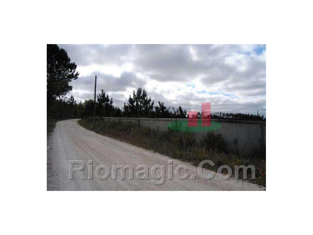 Terreno - Rio Maior***RIOMAGIC*** - Grande imagem: 5/15