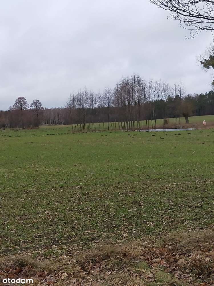 Działka budowlana 1300 m² w Rumunkach Tupadelskich - Pełny obrazek: 5/7