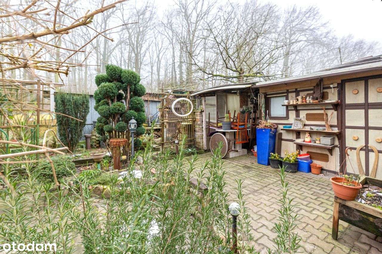 Police - 80 mkw , III Pokoje/ możliwość zamiany na kawalerkę-11